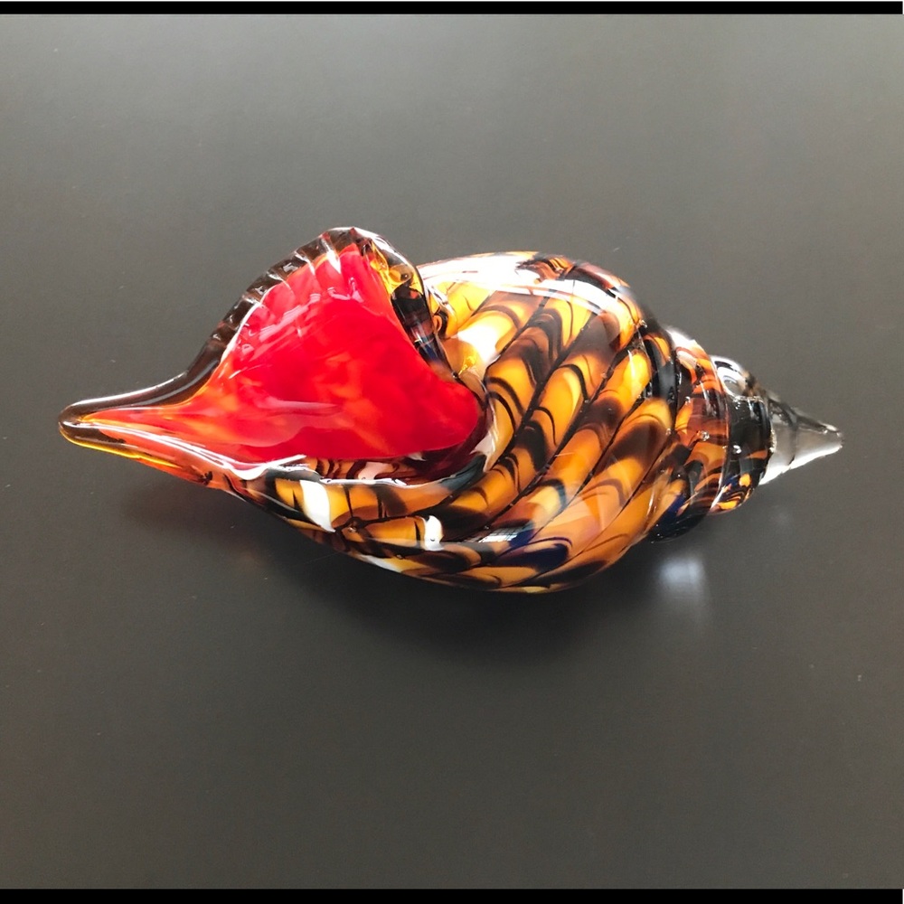 Stunning Decorative Glass Shell